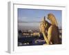 Notre Dame Cathedral Gargoyle, Paris, France-David Barnes-Framed Photographic Print