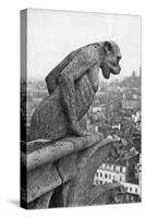 Notre Dame Cathedral Gargoyle Paris-null-Stretched Canvas