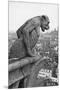 Notre Dame Cathedral Gargoyle Paris-null-Mounted Premium Photographic Print