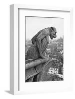 Notre Dame Cathedral Gargoyle Paris-null-Framed Photographic Print