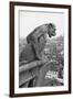 Notre Dame Cathedral Gargoyle Paris-null-Framed Photographic Print