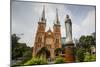 Notre Dame Cathedral, Ho Chi Minh City (Saigon), Vietnam, Indochina, Southeast Asia, Asia-Yadid Levy-Mounted Photographic Print