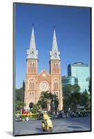 Notre Dame Cathedral, Ho Chi Minh City, Vietnam, Indochina, Southeast Asia, Asia-Ian Trower-Mounted Photographic Print