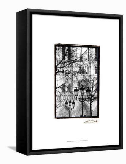 Notre Dame Cathedral II-Laura Denardo-Framed Stretched Canvas