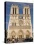 Notre Dame Cathedral, Ile De La Cite, Paris, France-Sergio Pitamitz-Stretched Canvas