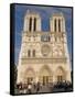 Notre Dame Cathedral, Ile De La Cite, Paris, France-Sergio Pitamitz-Framed Stretched Canvas