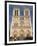 Notre Dame Cathedral, Ile De La Cite, Paris, France-Sergio Pitamitz-Framed Photographic Print