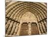 Notre Dame Cathedral, Ile De La Cite, Paris, France-Sergio Pitamitz-Mounted Photographic Print