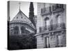 Notre Dame Cathedral, Ile De La Cite, Paris, France-Jon Arnold-Stretched Canvas