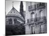 Notre Dame Cathedral, Ile De La Cite, Paris, France-Jon Arnold-Mounted Photographic Print