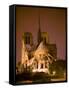 Notre Dame Cathedral Lit at Night, Paris, France-Jim Zuckerman-Framed Stretched Canvas