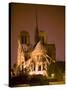 Notre Dame Cathedral Lit at Night, Paris, France-Jim Zuckerman-Stretched Canvas