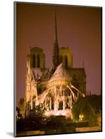 Notre Dame Cathedral Lit at Night, Paris, France-Jim Zuckerman-Mounted Photographic Print