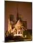Notre Dame Cathedral Lit at Night, Paris, France-Jim Zuckerman-Mounted Photographic Print
