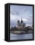 Notre Dame Cathedral on the Ile De La Cite, Paris, France, Europe-Julian Elliott-Framed Stretched Canvas