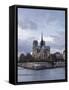 Notre Dame Cathedral on the Ile De La Cite, Paris, France, Europe-Julian Elliott-Framed Stretched Canvas