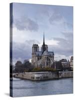 Notre Dame Cathedral on the Ile De La Cite, Paris, France, Europe-Julian Elliott-Stretched Canvas