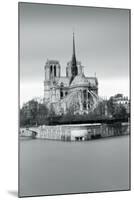 Notre Dame Cathedral on the River Seine, Paris, Ile De France, France, Europe-Markus Lange-Mounted Photographic Print