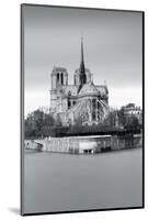 Notre Dame Cathedral on the River Seine, Paris, Ile De France, France, Europe-Markus Lange-Mounted Photographic Print