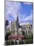 Notre Dame Cathedral, Paris, France, Europe-Roy Rainford-Mounted Photographic Print