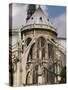 Notre Dame Cathedral, Paris, France, Europe-Pitamitz Sergio-Stretched Canvas