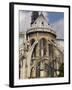 Notre Dame Cathedral, Paris, France, Europe-Pitamitz Sergio-Framed Photographic Print