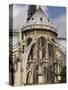 Notre Dame Cathedral, Paris, France, Europe-Pitamitz Sergio-Stretched Canvas