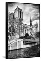 Notre Dame Cathedral - Paris - France-Philippe Hugonnard-Framed Stretched Canvas