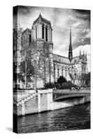 Notre Dame Cathedral - Paris - France-Philippe Hugonnard-Stretched Canvas