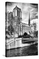 Notre Dame Cathedral - Paris - France-Philippe Hugonnard-Stretched Canvas