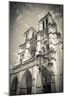 Notre Dame Cathedral, Paris, France-Russ Bishop-Mounted Photographic Print