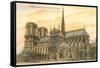 Notre Dame Cathedral, Paris, France-null-Framed Stretched Canvas