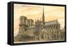 Notre Dame Cathedral, Paris, France-null-Framed Stretched Canvas