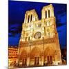 Notre Dame Cathedral Paris-null-Mounted Art Print