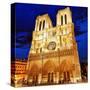 Notre Dame Cathedral Paris-null-Stretched Canvas