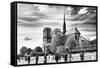 Notre Dame Cathedral - the banks of the Seine in Paris - France-Philippe Hugonnard-Framed Stretched Canvas