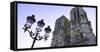 Notre Dame Cathedral, UNESCO World Heritage Site, Paris, France, Europe-Hans-Peter Merten-Framed Stretched Canvas