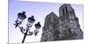 Notre Dame Cathedral, UNESCO World Heritage Site, Paris, France, Europe-Hans-Peter Merten-Mounted Photographic Print
