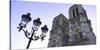 Notre Dame Cathedral, UNESCO World Heritage Site, Paris, France, Europe-Hans-Peter Merten-Stretched Canvas