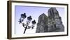 Notre Dame Cathedral, UNESCO World Heritage Site, Paris, France, Europe-Hans-Peter Merten-Framed Photographic Print