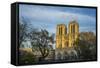 Notre Dame Cathedral-Guido Cozzi-Framed Stretched Canvas