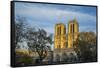 Notre Dame Cathedral-Guido Cozzi-Framed Stretched Canvas