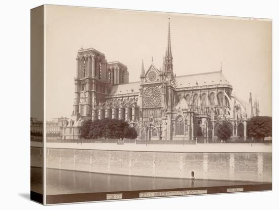 Notre Dame Cathedral-null-Stretched Canvas