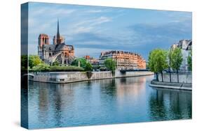 Notre Dame De Paris and the Seine River France in the City of Paris in France-OSTILL-Stretched Canvas