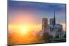 Notre Dame De Paris at Sunset-logoboom-Mounted Photographic Print