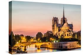 Notre Dame De Paris by Night and the Seine River France in the City of Paris in France-OSTILL-Stretched Canvas