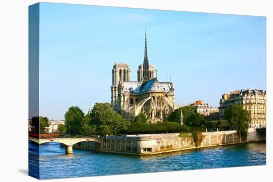 Notre Dame De Paris Carhedral on the La Seine Riversid-OSTILL-Stretched Canvas