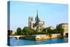 Notre Dame De Paris Carhedral on the La Seine Riversid-OSTILL-Stretched Canvas