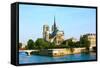 Notre Dame De Paris Carhedral on the La Seine Riversid-OSTILL-Framed Stretched Canvas