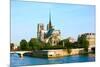 Notre Dame De Paris Carhedral on the La Seine Riversid-OSTILL-Mounted Photographic Print